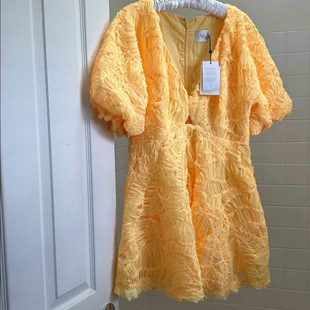 🖤NWT🔺 Aje. Brand FLORENTIAL Mini Swing Dress - Picture 7 of 17